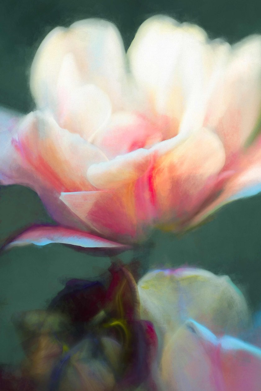 Emergence II, 2018, de Helen White