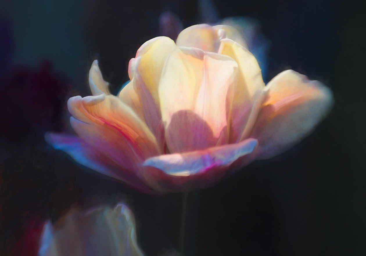 Emergência III, 2018, de Helen White