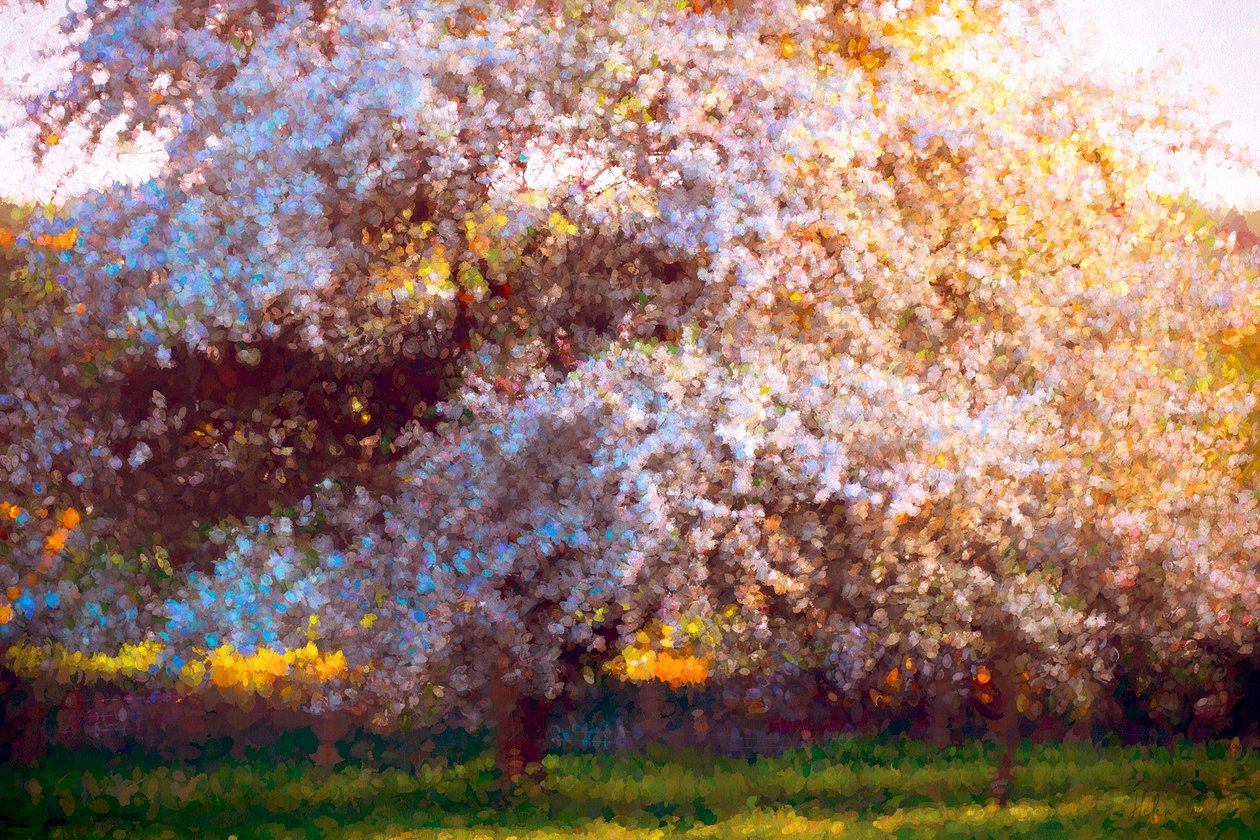 Flor da tarde, 2018, de Helen White
