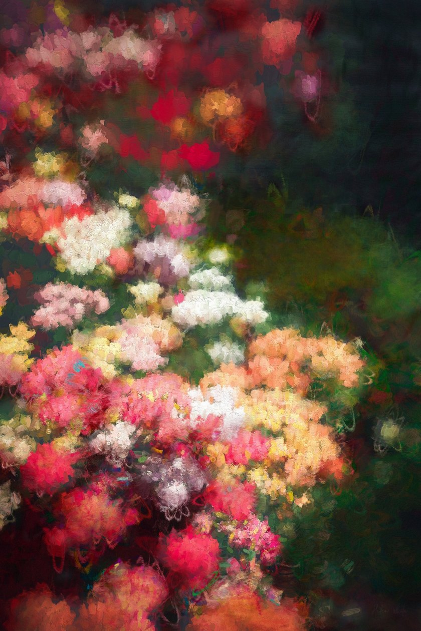 Fronteira Flor, 2018, de Helen White