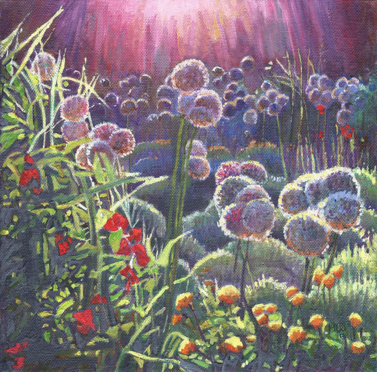 Incandescência, 2013, de Helen White