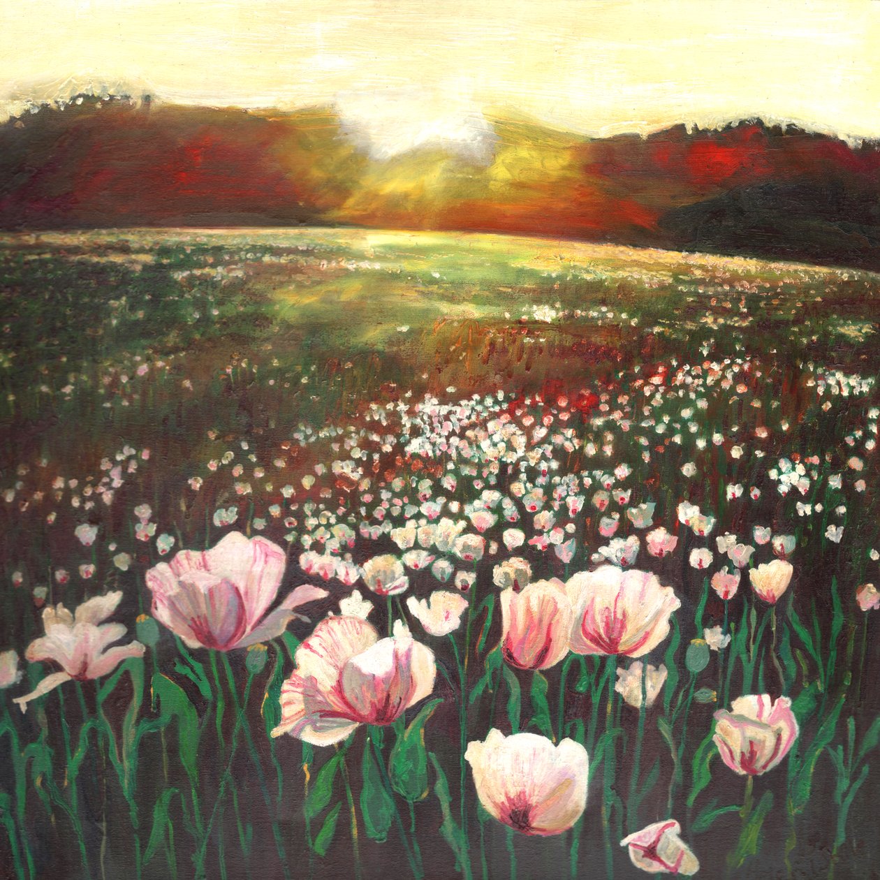 Love varreu terras, 2015, de Helen White