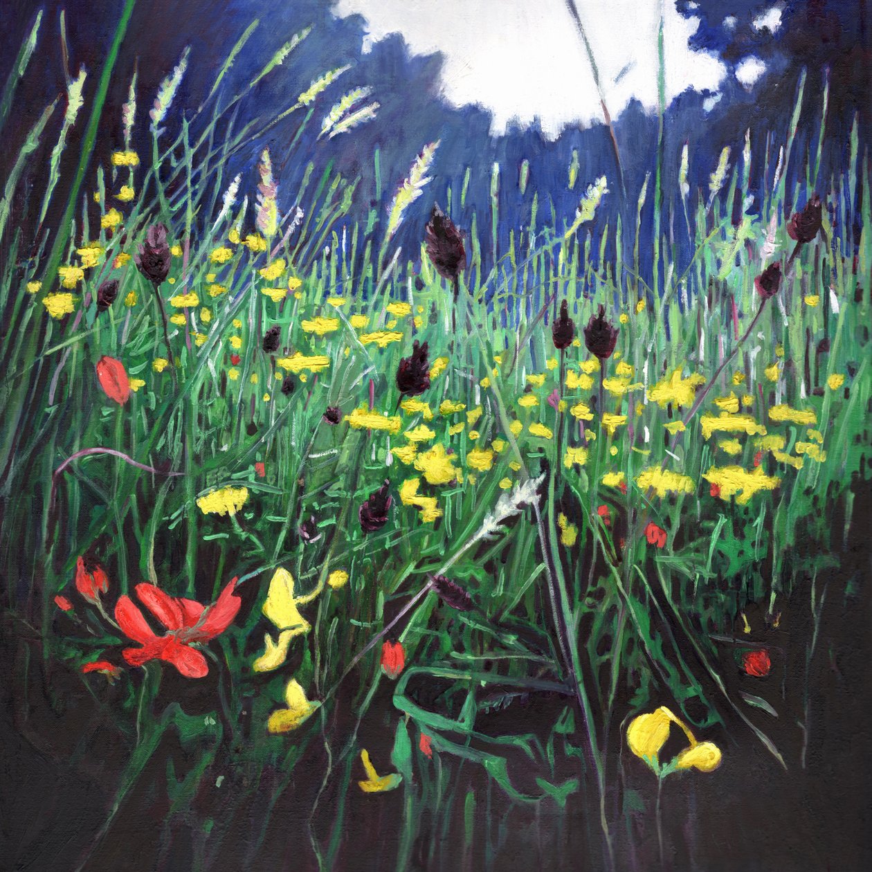Glória do prado, 2015, de Helen White