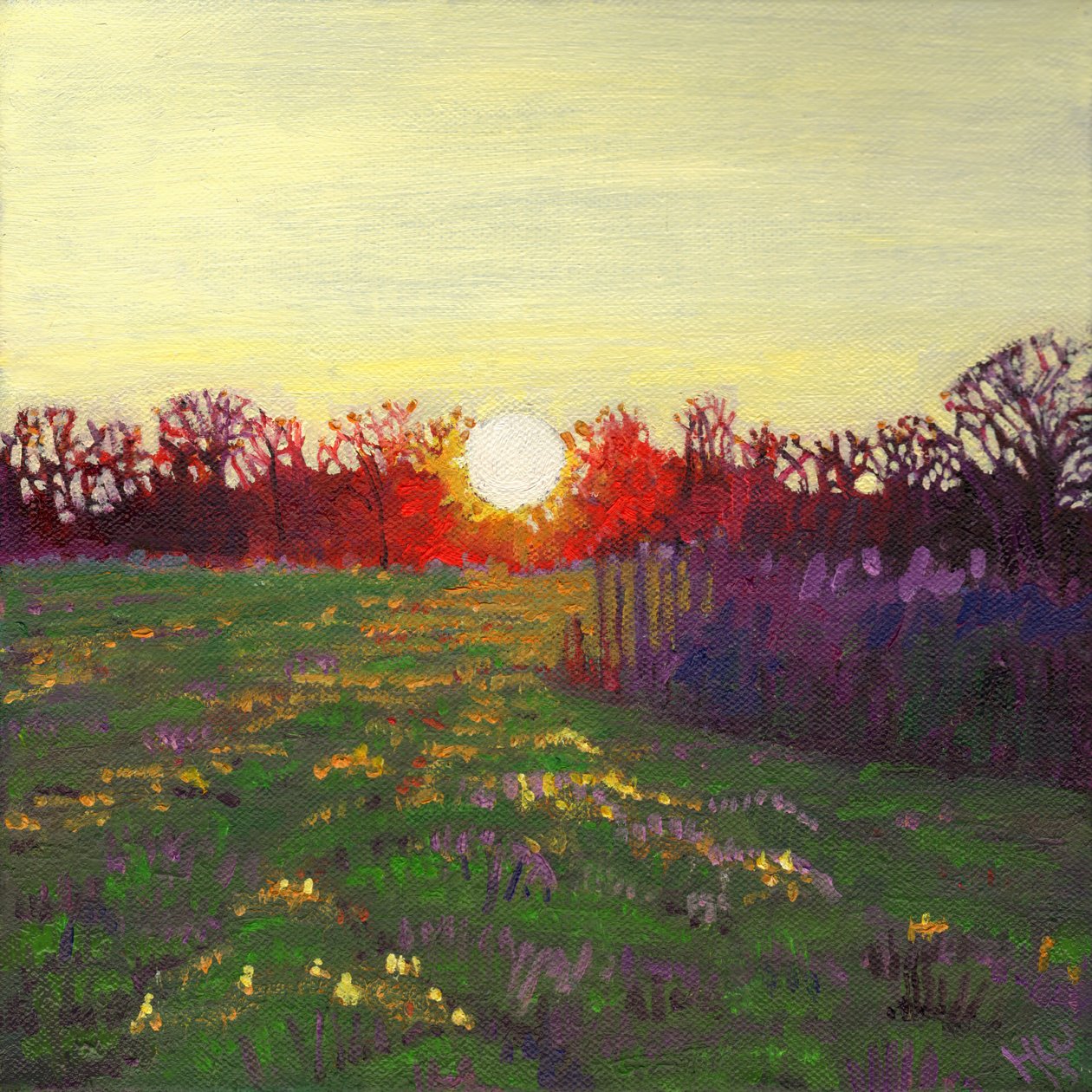 Caminho da luz, 2013, de Helen White