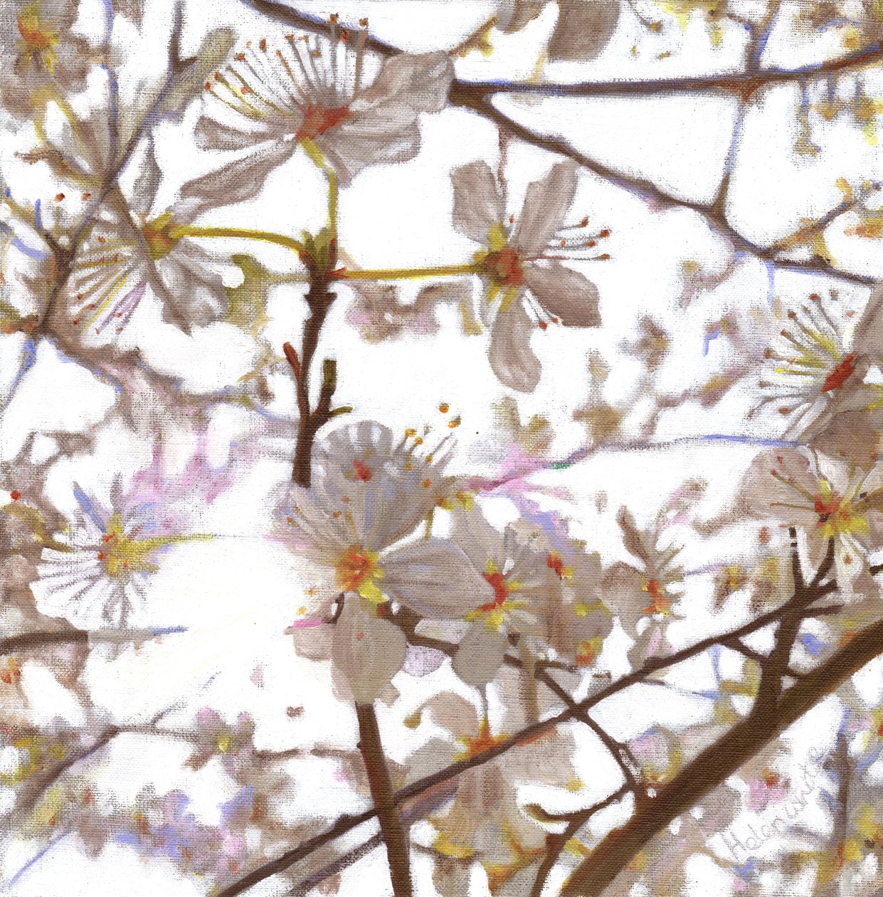 Prelude, 2014, de Helen White