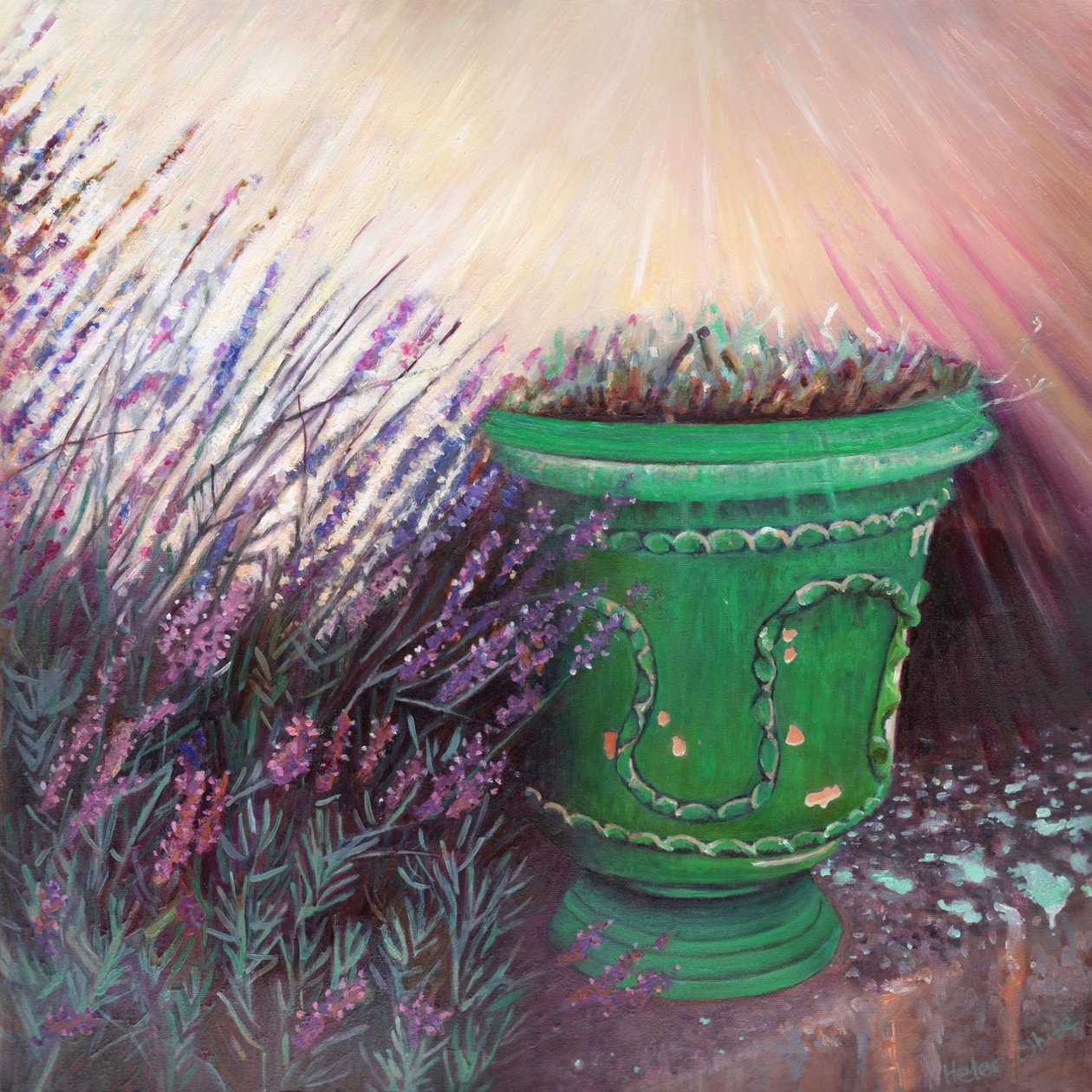 Jardim provençal II, 2014, de Helen White