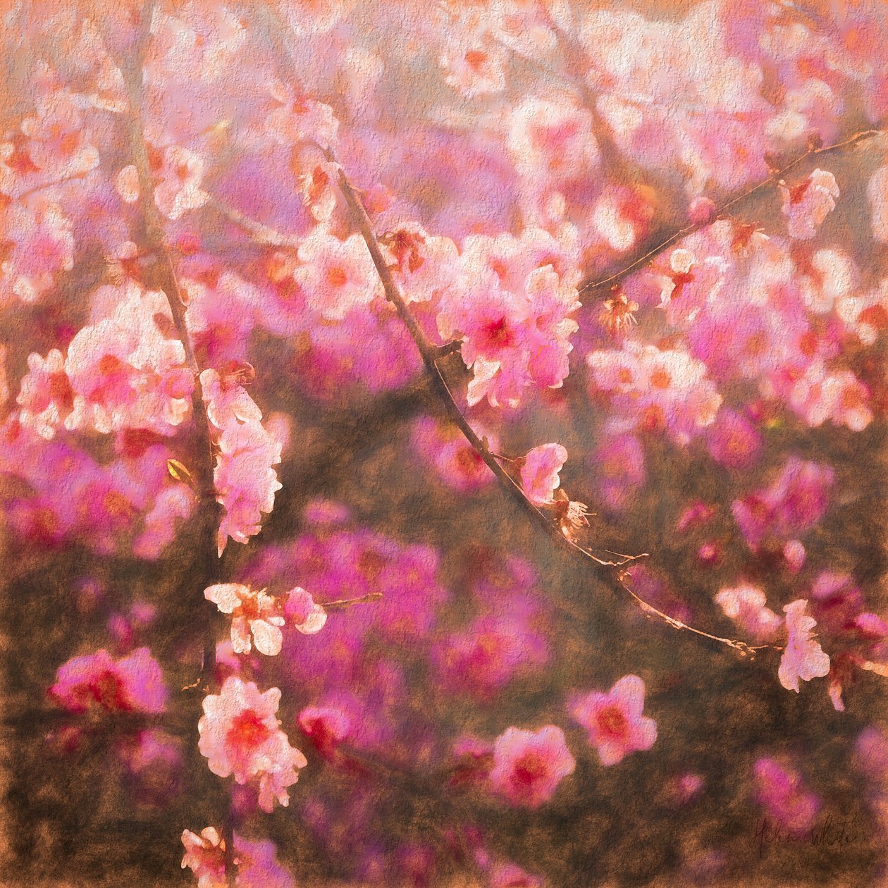 Primavera Saltada; 2018, mídia mista) de Helen White