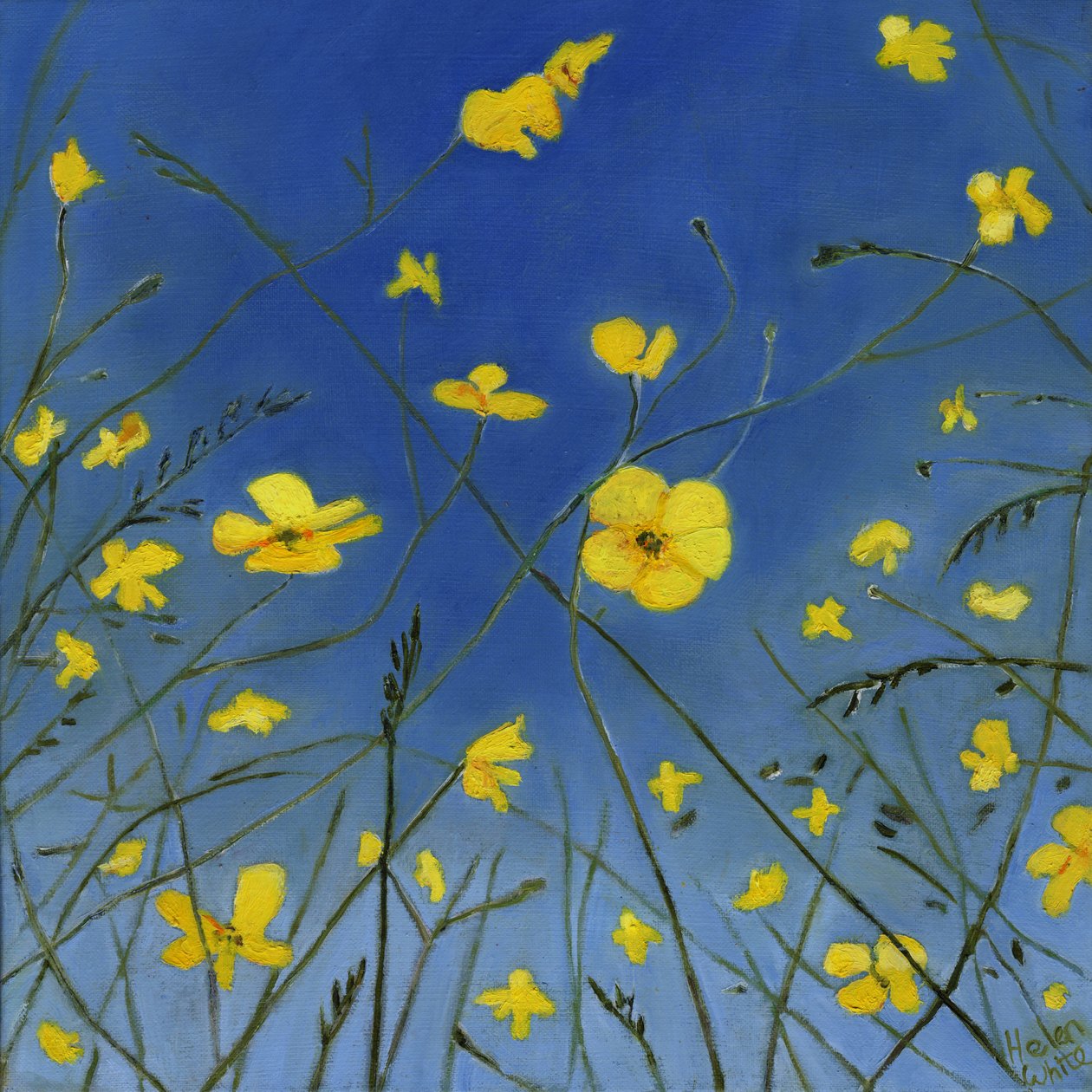 Dias de verão e caminhos preguiçosos, 2015, de Helen White