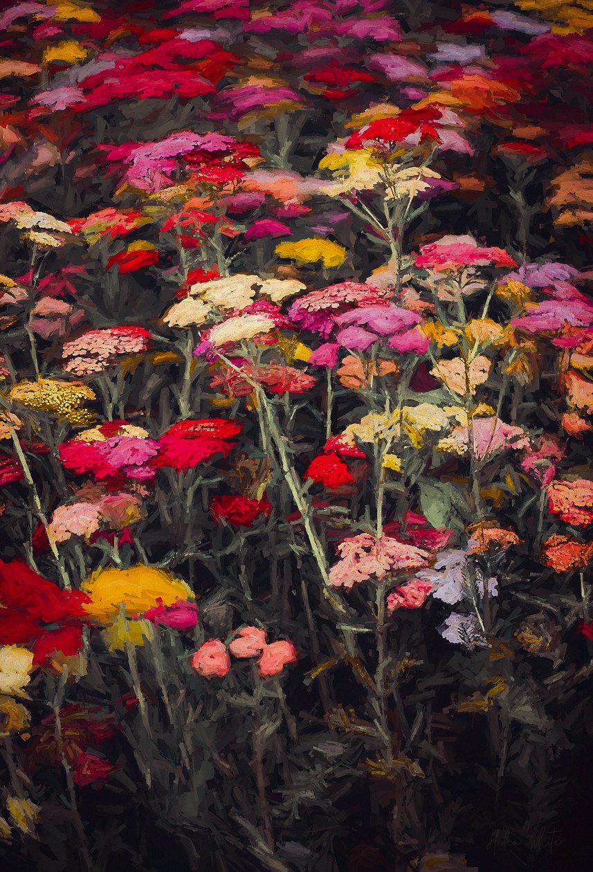 Descontroladamente colorido, 2018, de Helen White