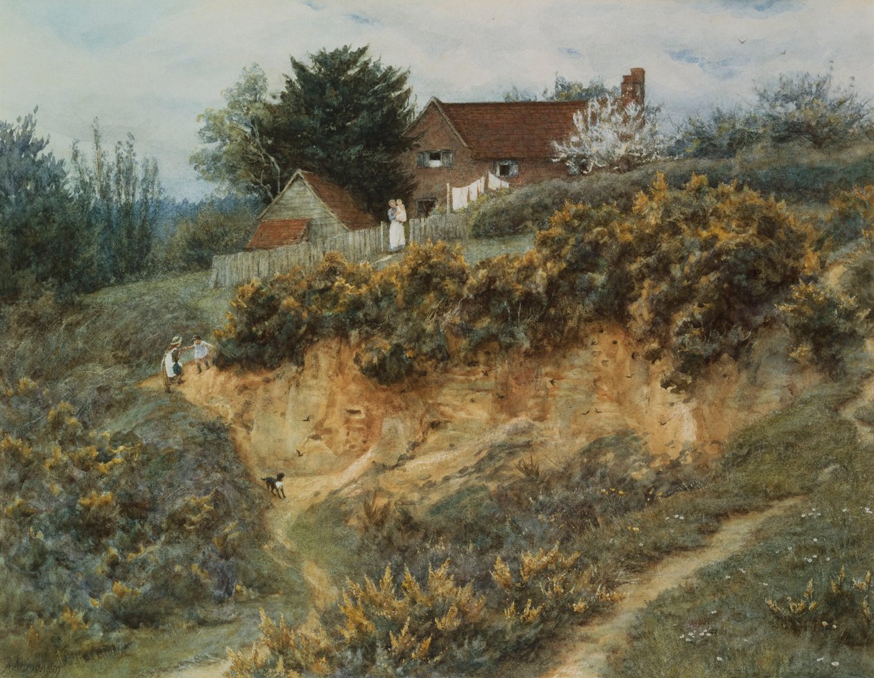 Em Sandhills, Witley (aquarela com riscos no papel) de Helen Allingham