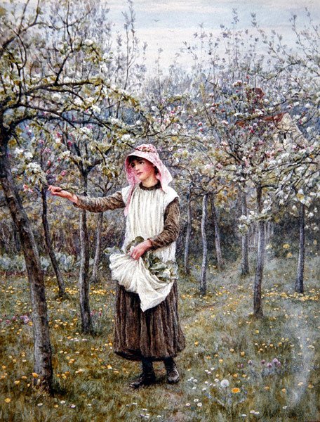 Tempo de floração (aguarela sobre papel) de Helen Allingham