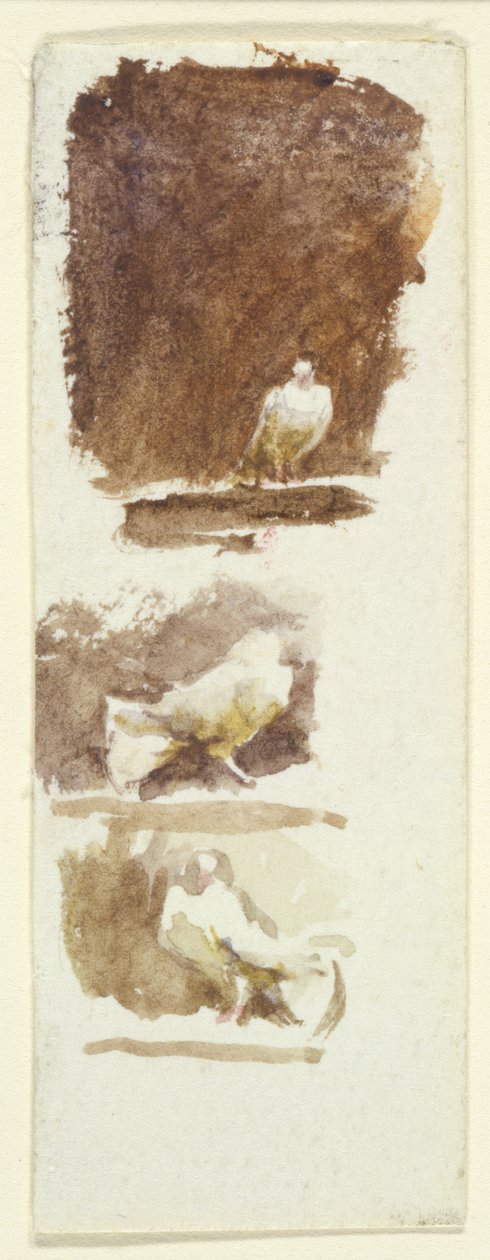 Pombas (wc no papel) de Helen Allingham