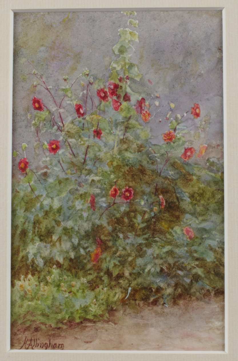 Fronteira de flores, malva-rosa e dálias de Helen Allingham