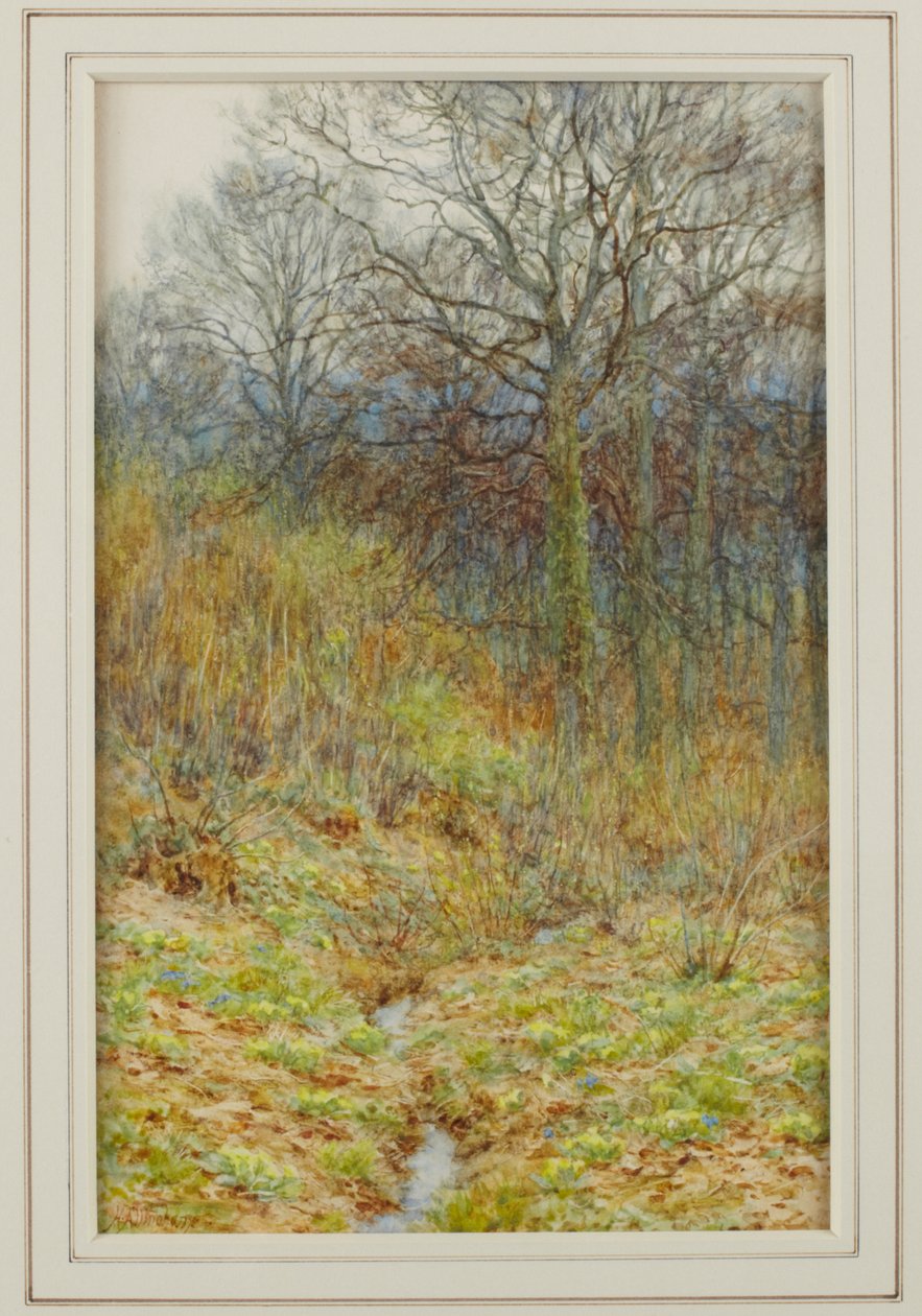 Nossa madeira de prímula, 1913 de Helen Allingham