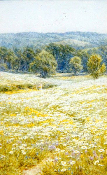 Oxeye Daisies, perto de Westerham, Kent (aguarela sobre papel) de Helen Allingham