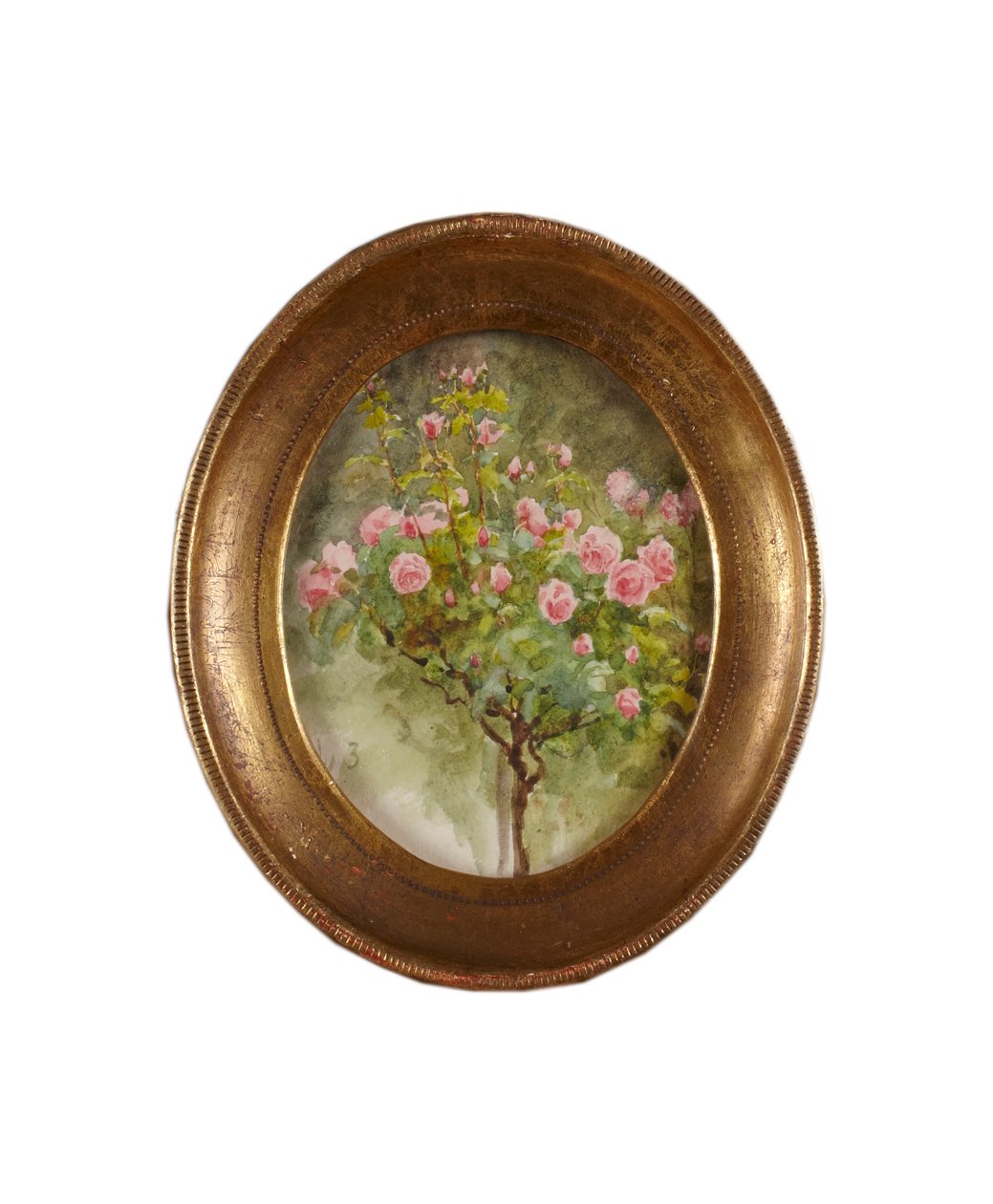 Rose Bush (aguarela sobre papel) de Helen Allingham