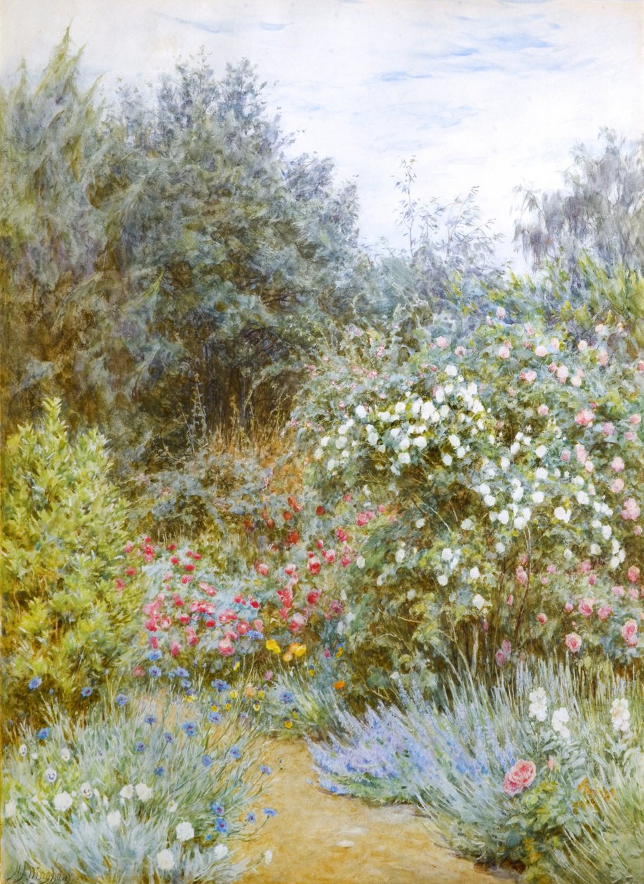 Rosas no jardim de Gertrude Jekyll, Munstead Wood, Surrey (aguarela) de Helen Allingham