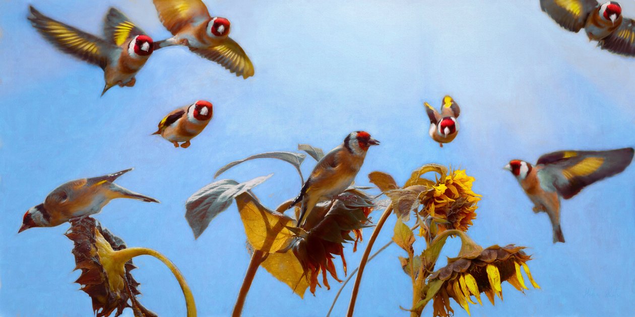 Um encanto de Goldfinches, 2020 de Helen White