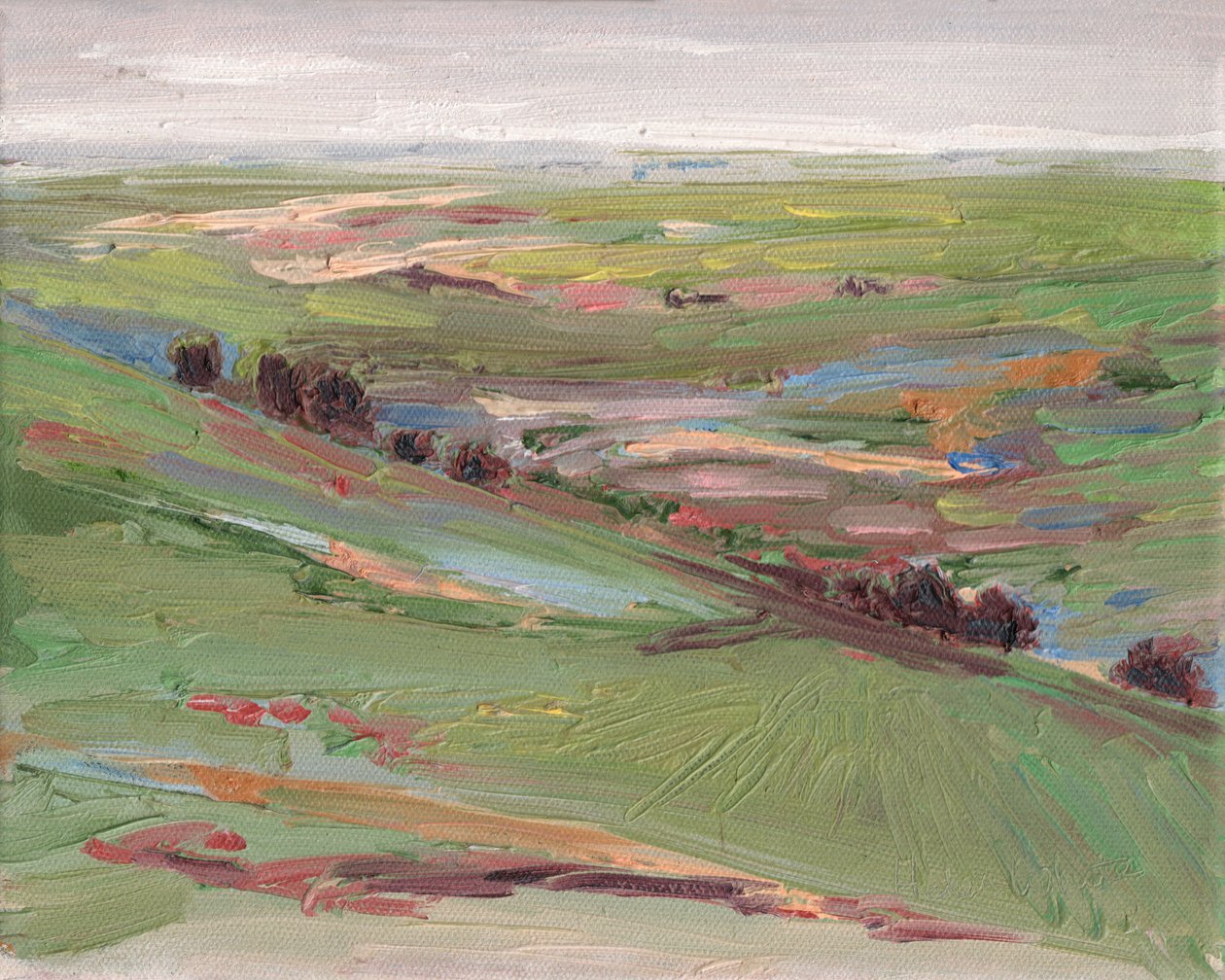 Across Hills, 2008 de Helen White