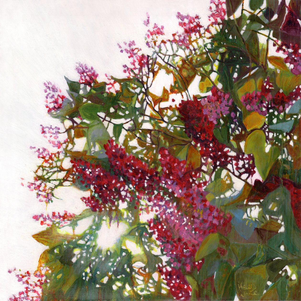 Aglow, 2015 de Helen White