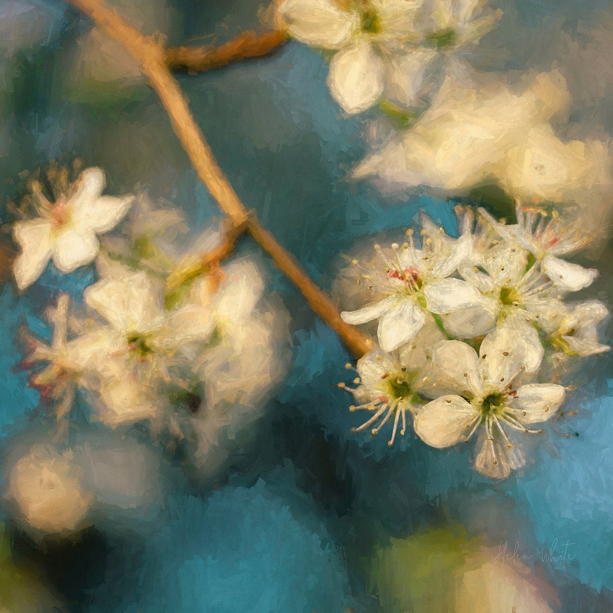 Apple Blossom, 2019 de Helen White