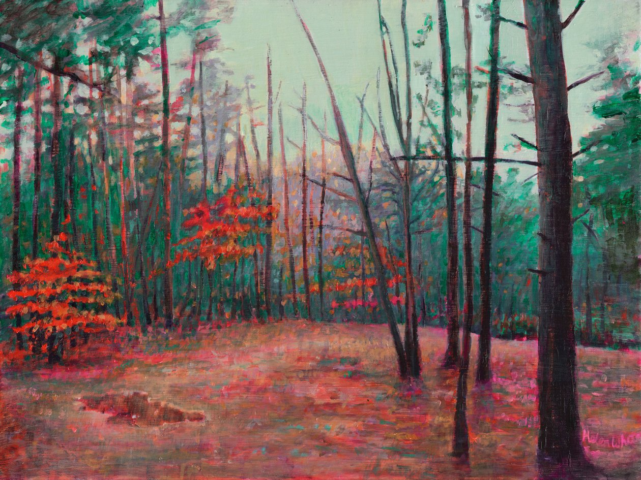 Limpeza de Outono, 2022 de Helen White