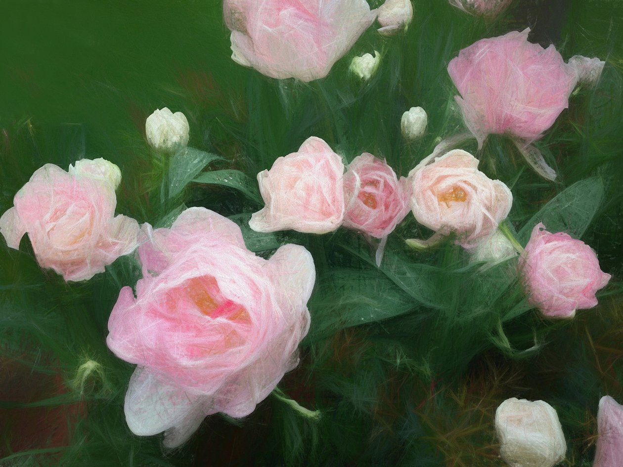 Cama de Rosas, 2018 de Helen White