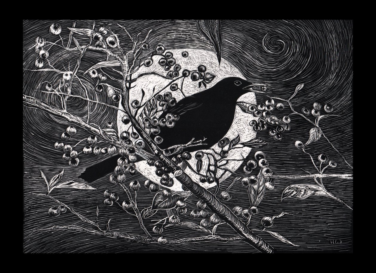 Blackbird, 2023 de Helen White