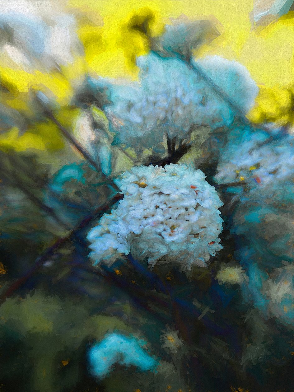 Blooming Maytime, 2019 de Helen White
