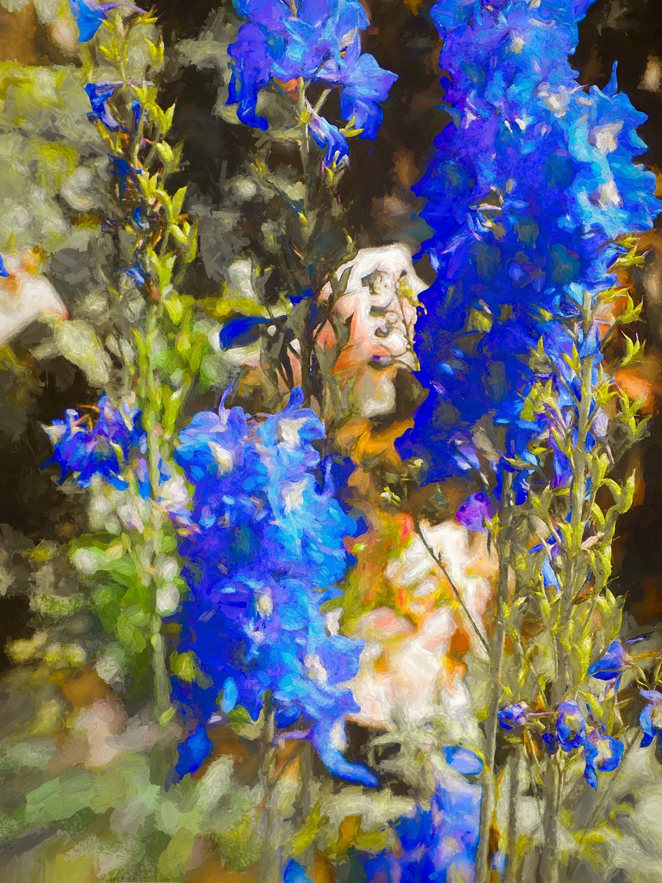 Blue Delphiniums, 2019 de Helen White
