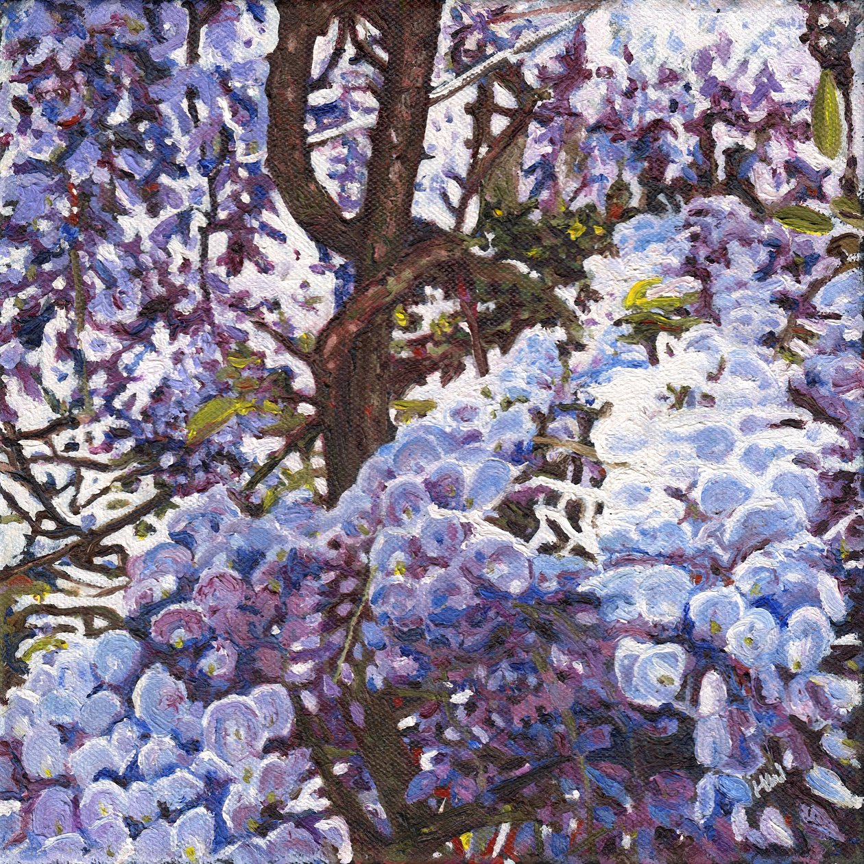 Blue Wisteria, 2012 de Helen White