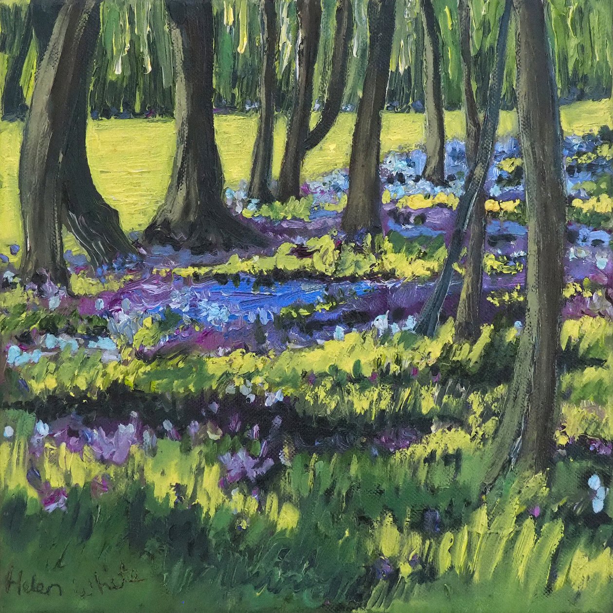 Bluebell Wood, 2008 de Helen White