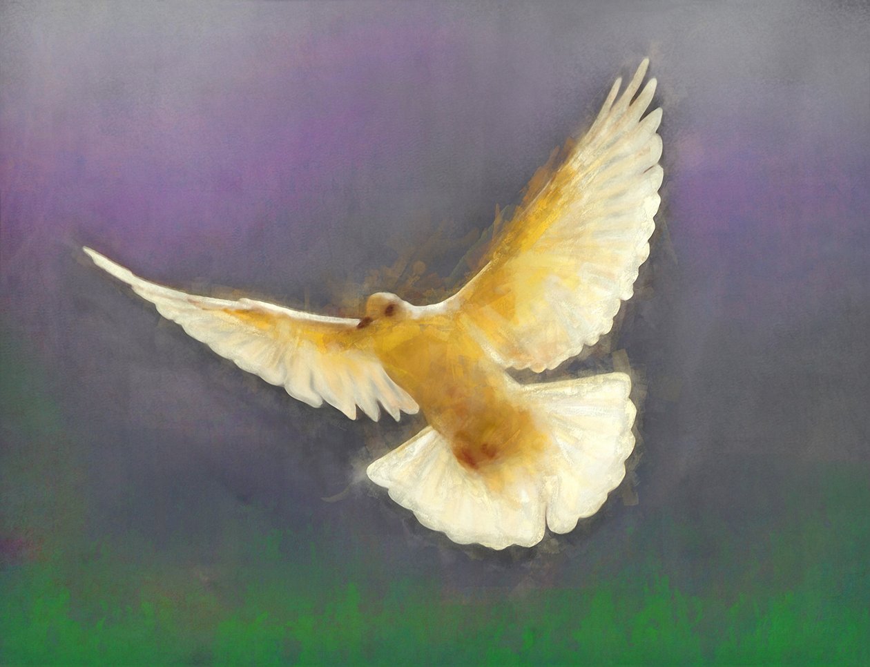 Portador da Paz, 2019 de Helen White