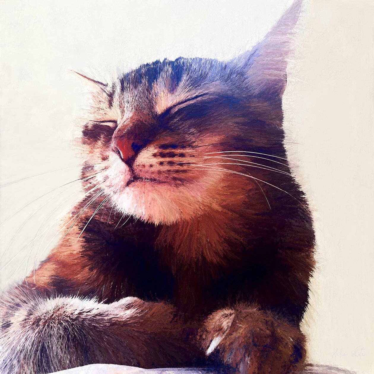 Gato que pegou o creme, 2018 de Helen White