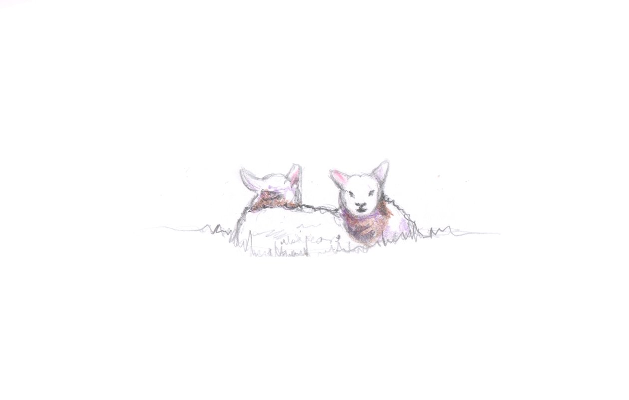 Contente, 2016, (desenho a lápis) de Helen White