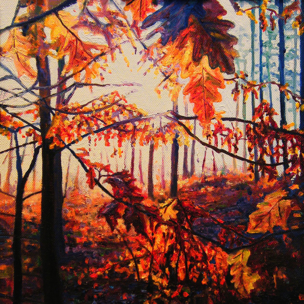 Copper Woods, 2009 (óleo sobre tela) de Helen White