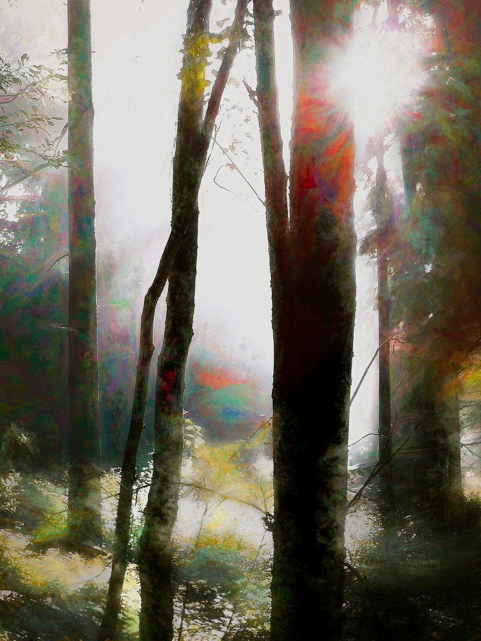 Dare to Believe, 2018 de Helen White