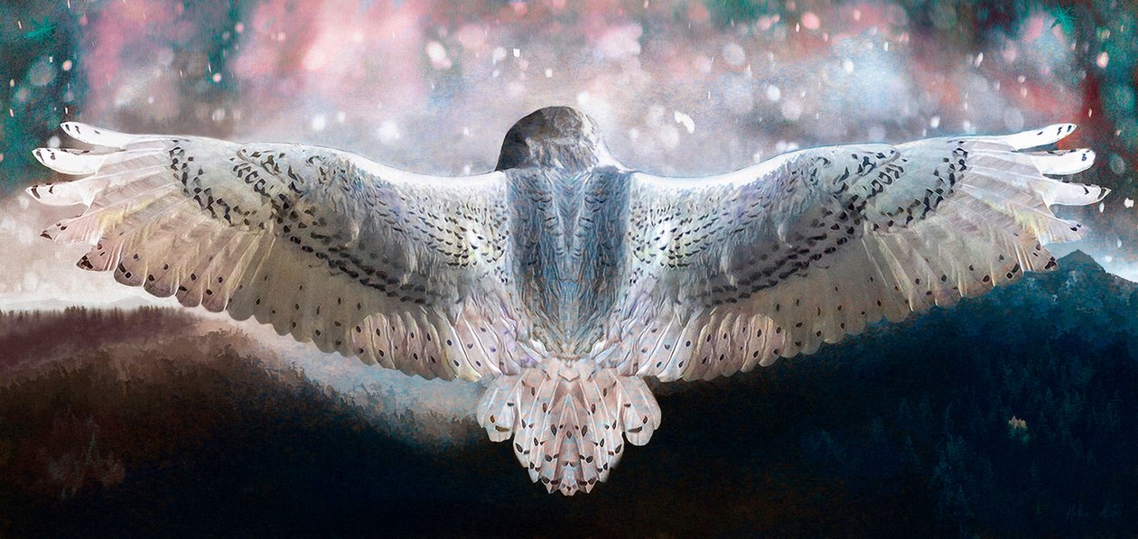 Atrever-se a voar, 2019 de Helen White