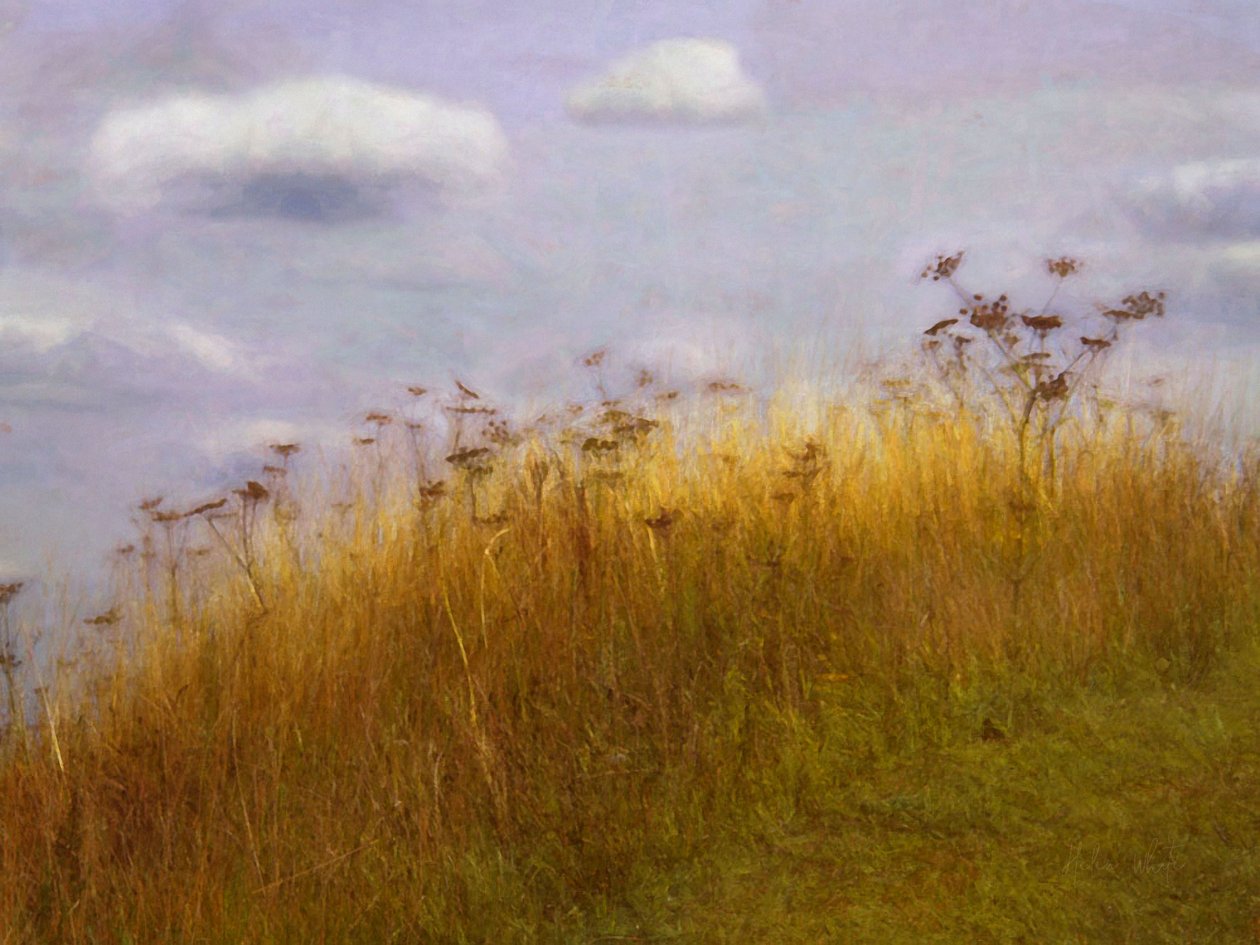 Drifting, 2019 de Helen White
