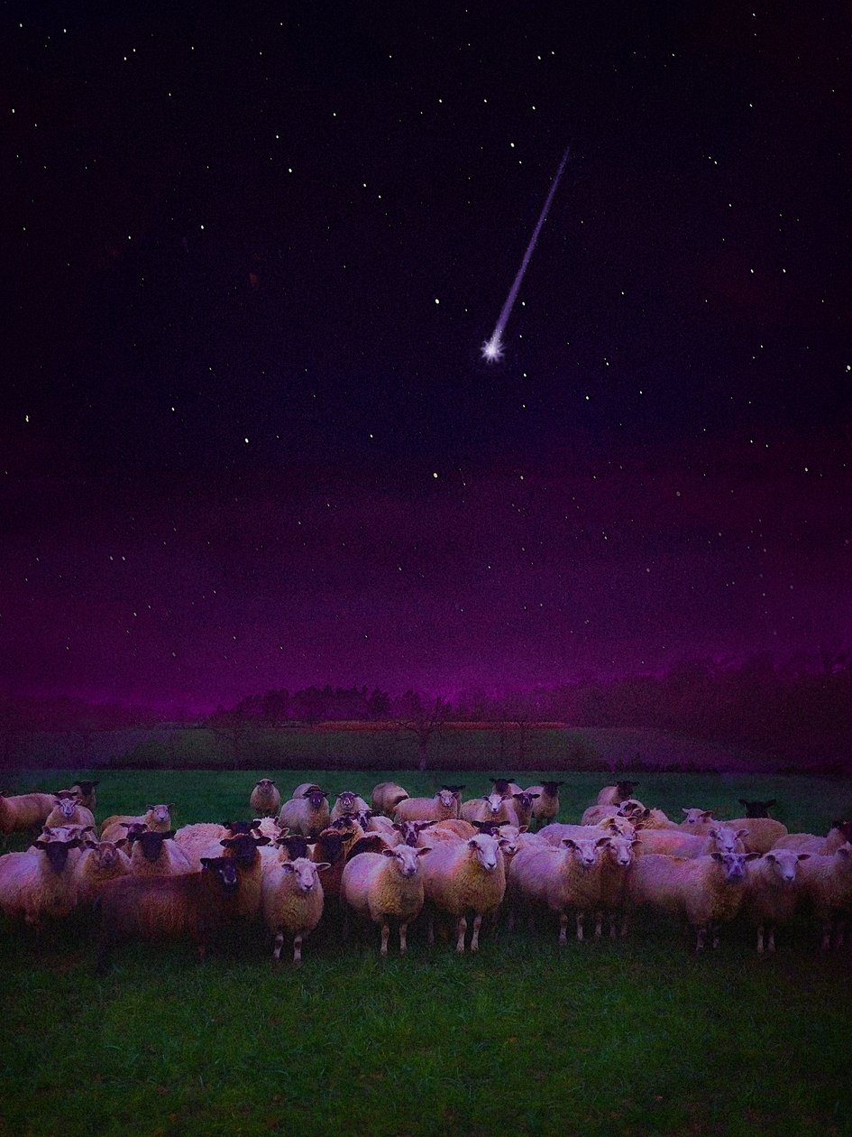 Rebanho por Noite, 2019 de Helen White