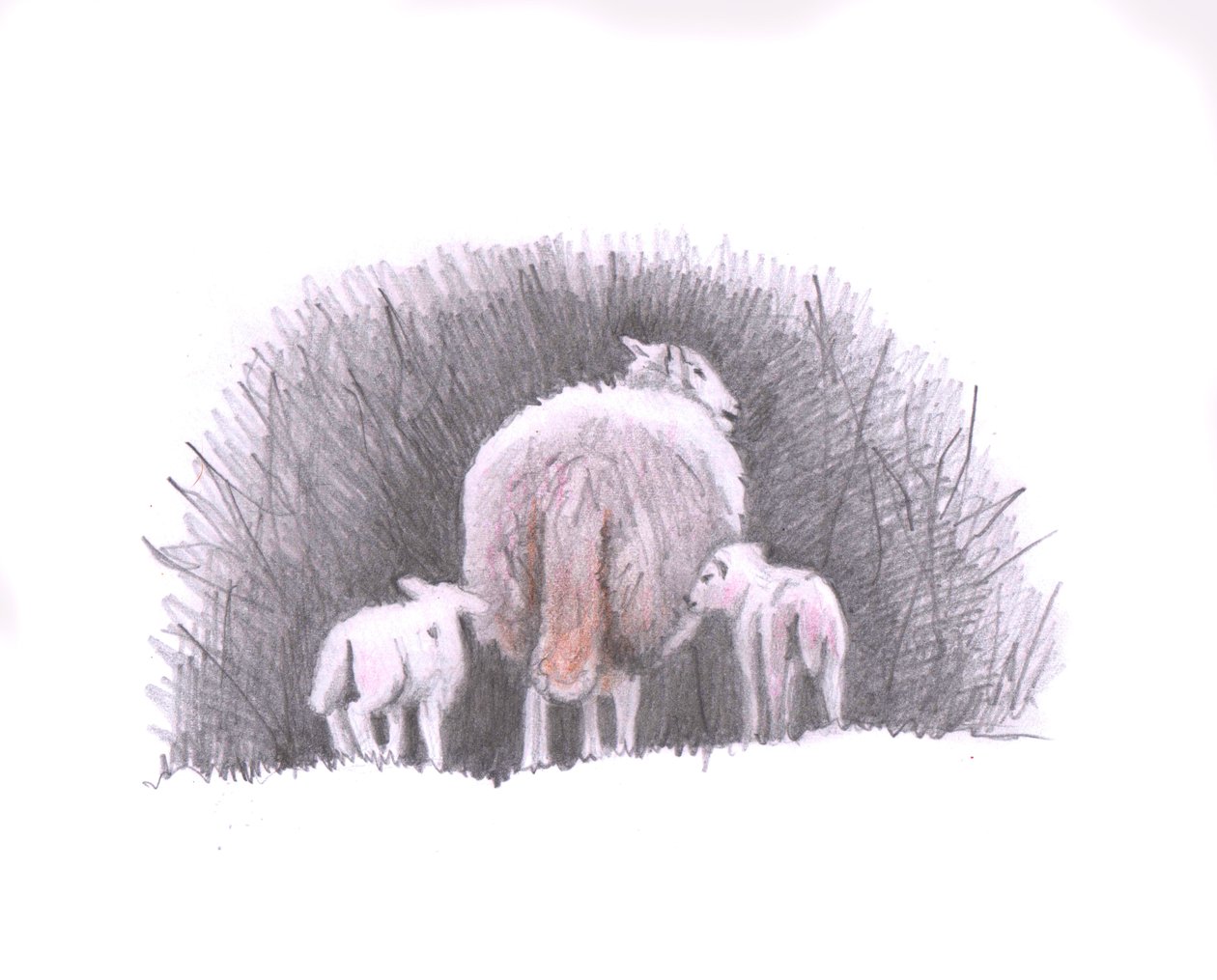 Siga, 2016, (desenho a lápis) de Helen White