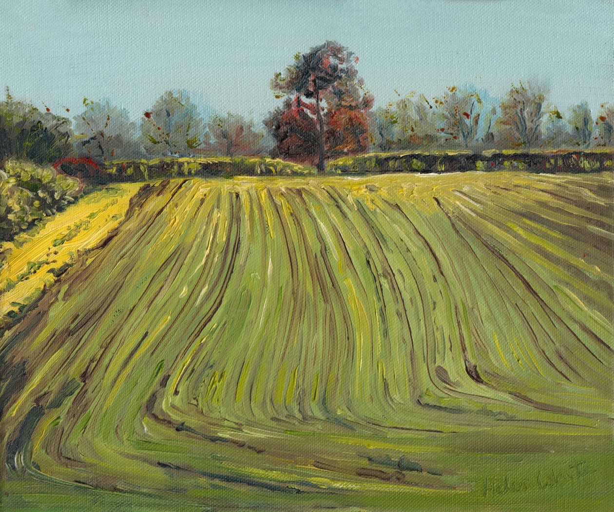 Sulcos, 2008 de Helen White