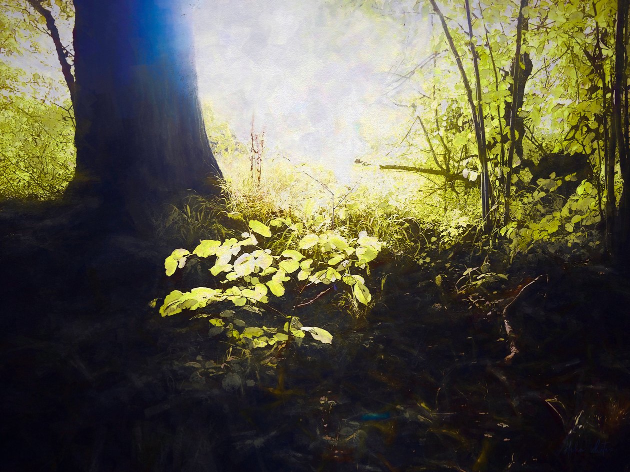 Lugar sagrado, 2018 de Helen White