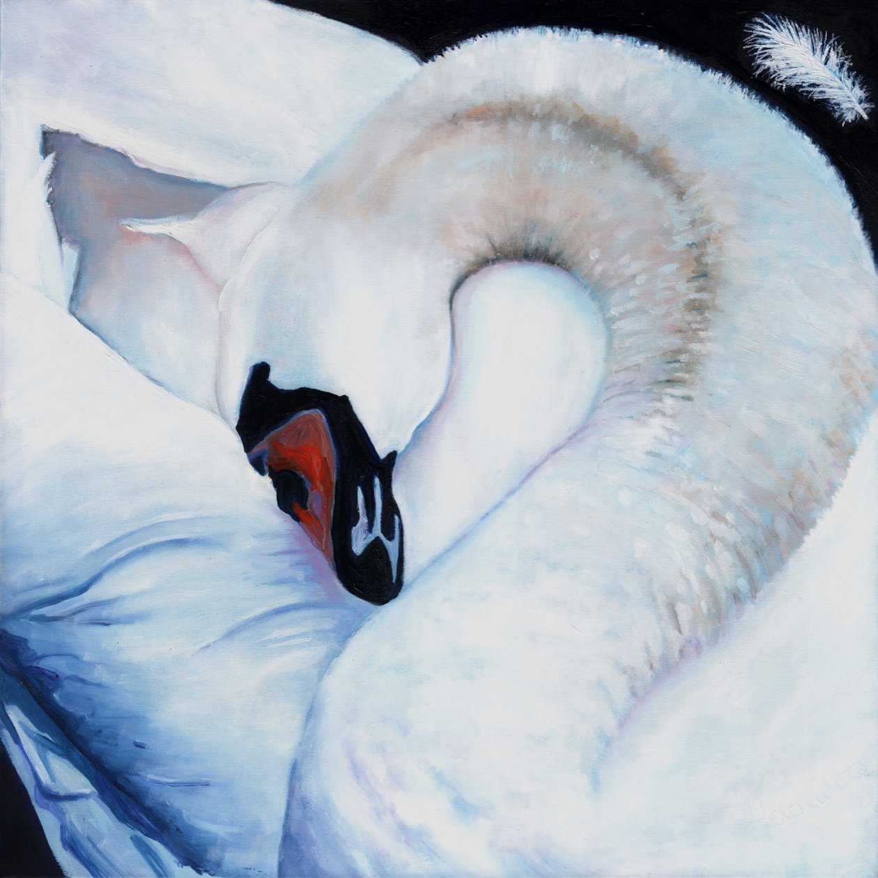 Centrado no coração, 2016, de Helen White