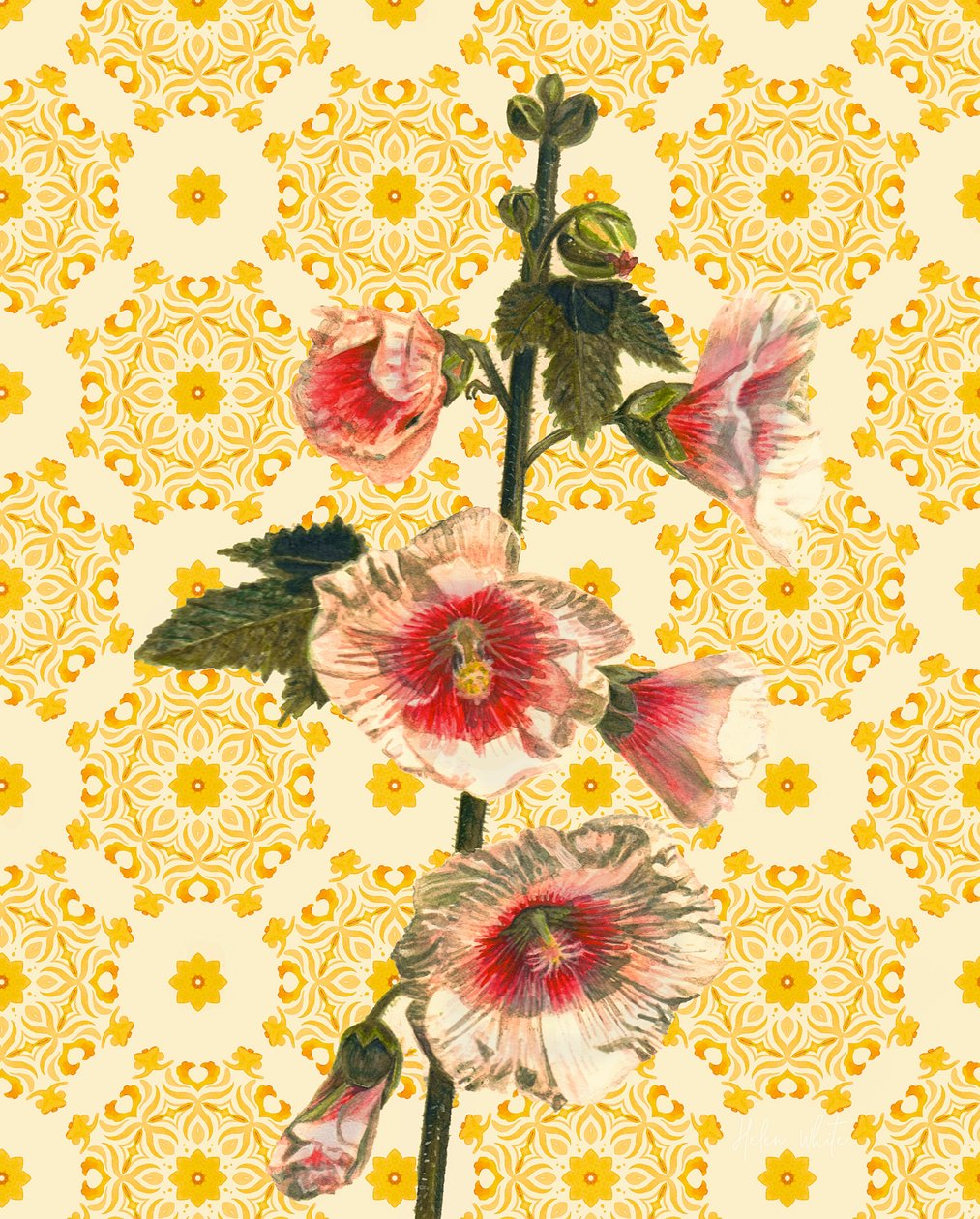 Hollyhocks on Sunshine, 2021 (aquarela) de Helen White