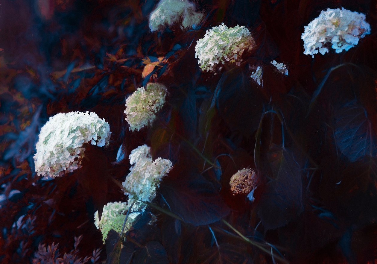 Ao Luar Pálido, 2019 de Helen White