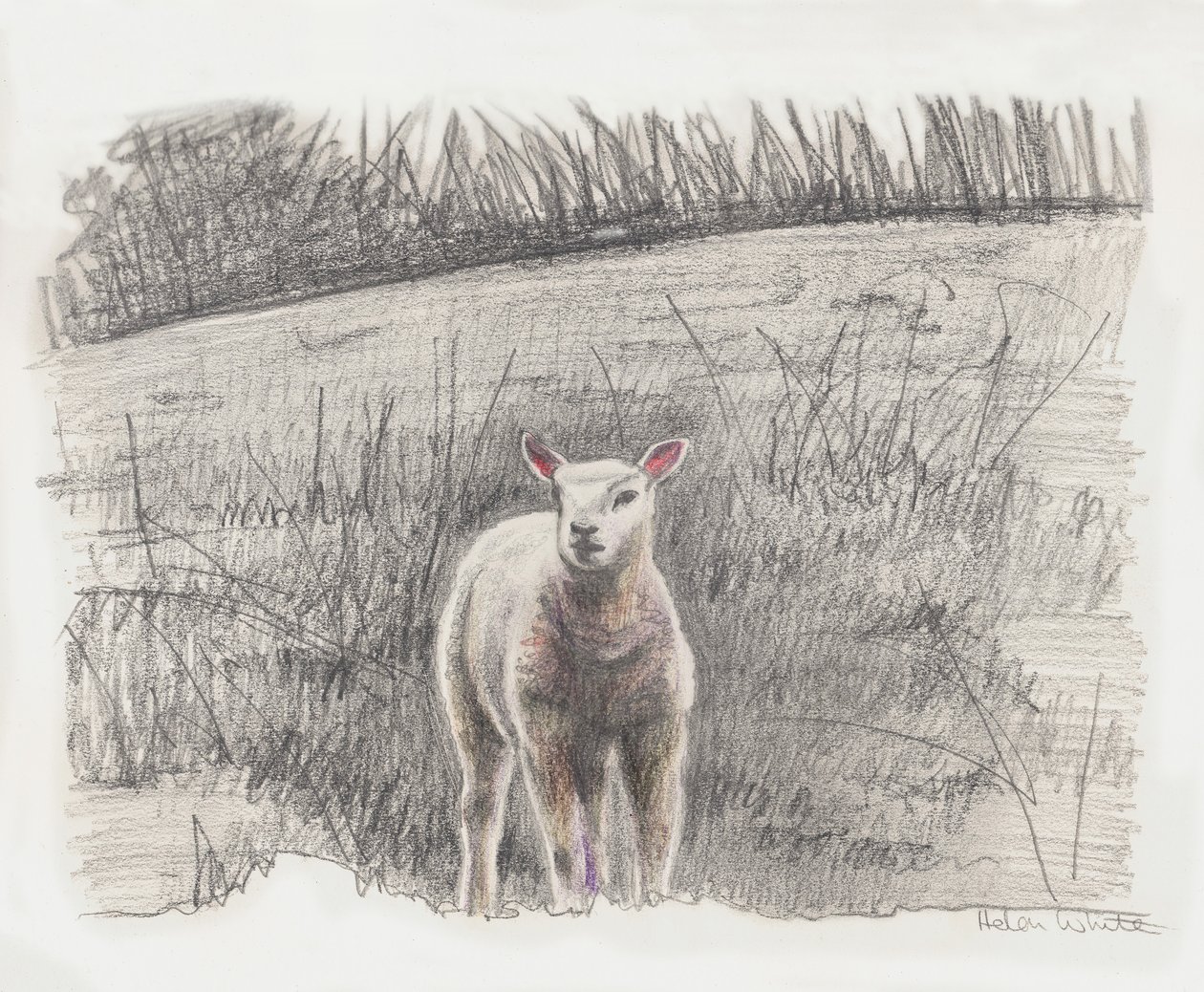 Lamby, 2016 de Helen White