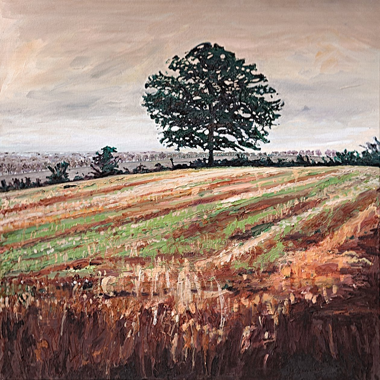 Campo Fim de Tarde, 2009 de Helen White
