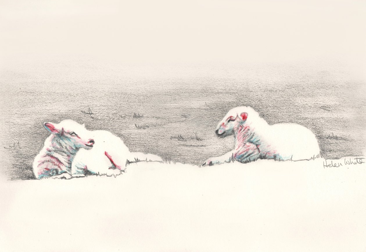Napping, 2016, (desenho a lápis) de Helen White