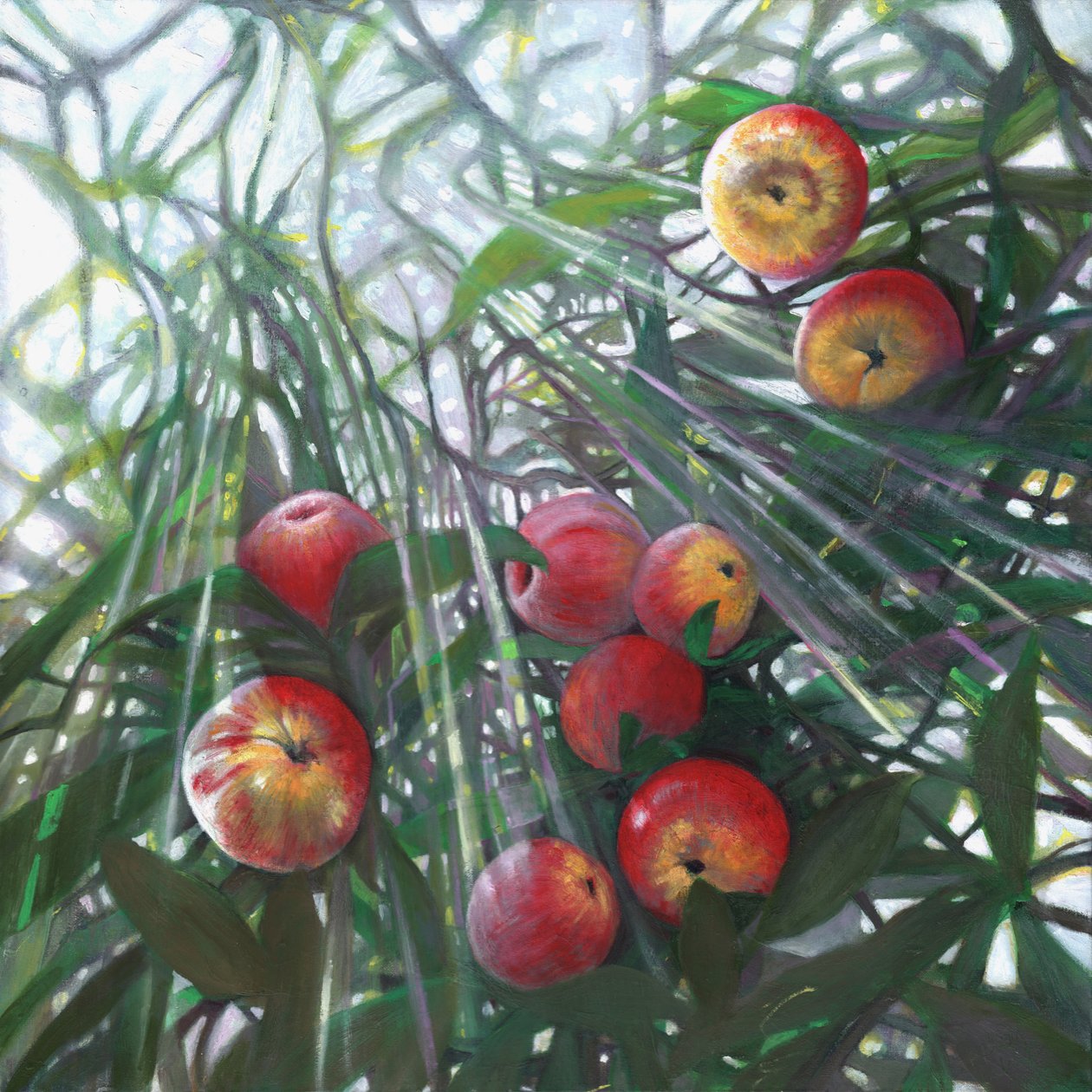 Nova luz no Eden, 2016, de Helen White